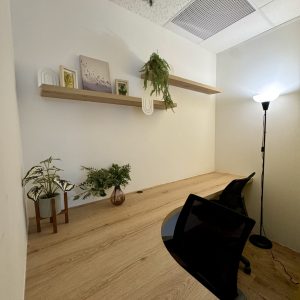 Hot desk pass Singapore CBD –Flexible hot desk workspace at Penguins Coworking